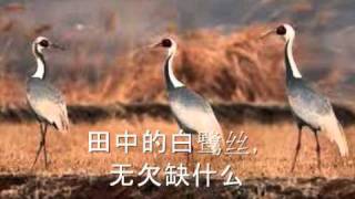 耶和华祝福满满 Hokkien Christian Song with lyrics [upl. by Neelahs335]