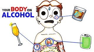 How Alcohol Changes Your Body [upl. by Islehc153]