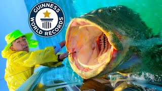 NEW Worlds LARGEST FISH  Can You Catch It [upl. by Anahsar]