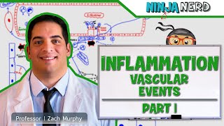 Immunology  Inflammation Vascular Events Part 1 [upl. by Alanah]