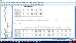 SPSS 7 Descriptive Statistics  Mean Range Standard Deviation Skewness Kurtosis [upl. by Neeuq517]