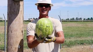 Hard Hat Safety Demonstration [upl. by Campagna]