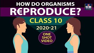 How do organisms Reproduce class 10 fullchapter  Class 10th CBSE biology  ncert class 10 science [upl. by Kcirdneked490]