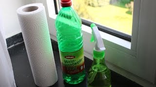 Bestes Mittel zum Fenster putzen  Essig   Best means for window cleaning  vinegar [upl. by Yedrahs]