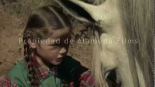 El potro salvaje trailer original The wild horse original trailer [upl. by Rondi]