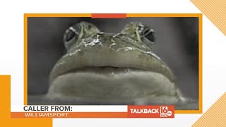 Calls to bring back the POL frog  Talkback 16 [upl. by Orville]