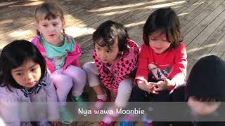 Acknowledgement of Country  Darug Subtitles [upl. by Idram]