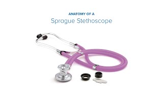 Anatomy of a Sprague Stethoscope [upl. by Cristie40]