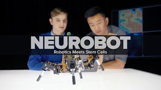 Neurobot Robotics Meets Stem Cells [upl. by Anihtyc]