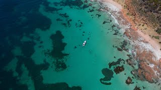 Kangaroo Island South Australia Rising from the Ashes [upl. by Mann276]