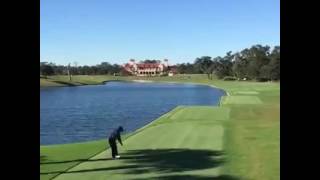 Golf player kills flying bird [upl. by Corly]