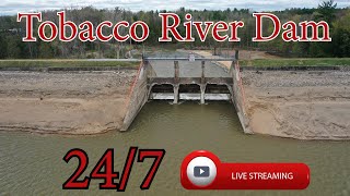 Tobacco River Dam  Michigan  247 HD Live Stream [upl. by Llenroc982]