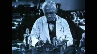 How Alexander Fleming Accidentally Discovered Penicillin [upl. by Oremo]