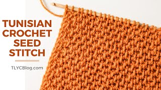 HOW TO  Tunisian Crochet Seed Stitch for Beginners [upl. by Orfield888]