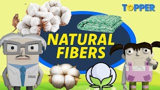 Natural Fibers  Cotton and Jute  Class 6th Chemistry [upl. by Bohannon]