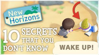 10 SECRETS You STILL Dont Know ACNH Hidden Details  Animal Crossing New Horizons [upl. by Wainwright]