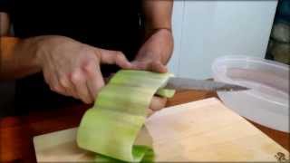 Cucumber Sushi Roll Recipe  Japanese Food Recipe [upl. by Sobmalarah192]