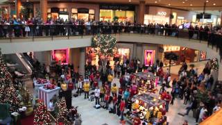 Flash Mob the best of Christmas 2011  Flash Mob Best Of [upl. by Dripps]