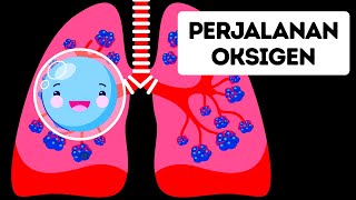 Perjalanan Oksigen di Dalam Tubuh [upl. by Piero750]