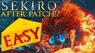 How to Kill Demon of Hatred EASY CHEESE AFTER PATCH  Sekiro Boss Guide [upl. by Lamdin]