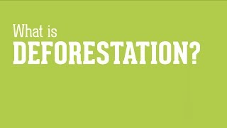 What is Deforestation [upl. by Tamera]