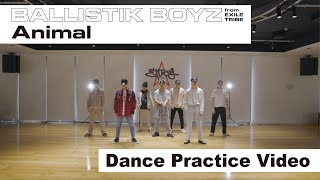 【Dance Practice Video】「Animal」  BALLISTIK BOYZ from EXILE TRIBE [upl. by Darahs]