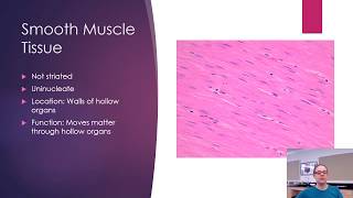 Histology  Bone and Muscle [upl. by Araik419]