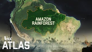 The destruction of the Amazon explained [upl. by Oyr506]