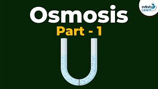 What is Osmosis  Part 1  Cell  Infinity Learn [upl. by Apurk714]