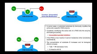 Basics of Drug Interactions EXPLAINED  Inhibition amp Induction [upl. by Renie916]