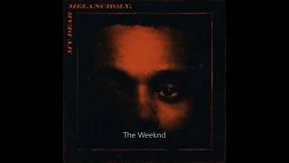 The Weeknd  Wasted Times Lyrics [upl. by Ordep]