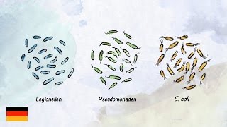 Basiswissen zur Trinkwasserhygiene [upl. by Nawyt]