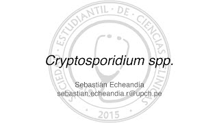 Cryptosporidium spp [upl. by Nickelsen]