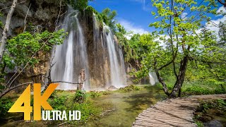 4K Virtual Walking Tour around Plitvice Lakes Croatia  Amazing Nature Scenery with Soothing Sounds [upl. by Tsai]