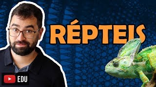 Répteis  Aula 30  Módulo VI Zoologia  Prof Gui [upl. by Ettereve115]