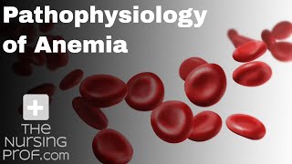 Pathophysiology of Anemia [upl. by Assirol]