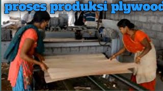 proses produksi plywood di india  pabrik plywood India [upl. by Spearing]