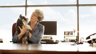 Purina  Driving High Quality Dog Food Forward With a Passion for Innovation [upl. by Aikam]