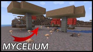 How To Get Mycelium In Minecraft [upl. by Nyrek]