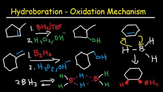 Hydroboration Oxidation Mechanism of Alkenes  BH3 THF H2O2 OH Organic Chemistry [upl. by Nytsyrk]