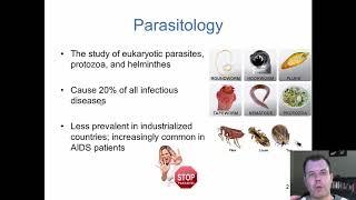 Chapter 23 The Parasites of Medical Importance CC [upl. by Urania]