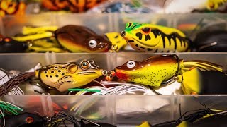 Frog Fishing For Bass  Everything You Need To Know [upl. by Ondrej873]