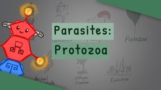 Parasites Protozoa classification structure life cycle [upl. by Delogu]