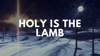 Vinesong  Holy is the Lamb Lyric Video [upl. by Ellon358]