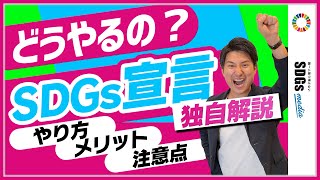 SDGs宣言の方法・メリット・注意点について解説 [upl. by Okire571]