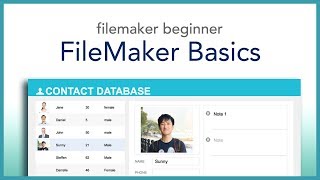 FileMaker Beginner Basics [upl. by Ail249]