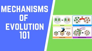 Mechanisms of Evolution 101 [upl. by Lalo]