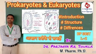 Introduction to Prokaryotes amp Eukaryotes  Differences in Prokaryotic amp Eukaryotic CellsBP 303T L2 [upl. by Eilrebma]