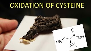 Oxidation of the Amino Acid LCysteine [upl. by Arnulfo]