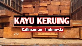 Kayu Keruing Kalimantan [upl. by Hunfredo952]